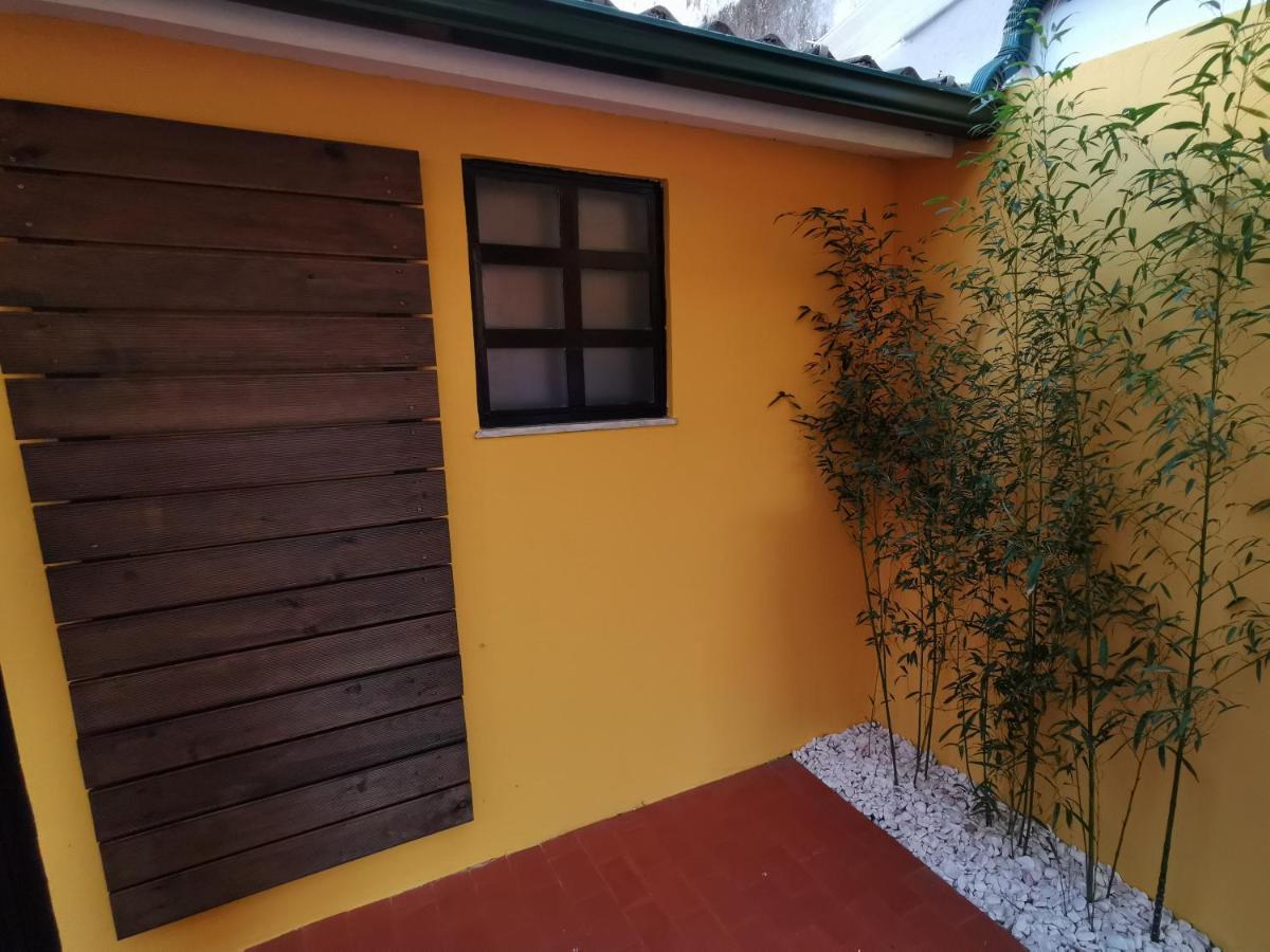 Villa Coimbra - Casa Inteira Exteriér fotografie
